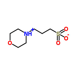 MOPS Biological Buffers CAS 1132-61-2 3-Morpholinopropanesulfonic acid 99% purity
