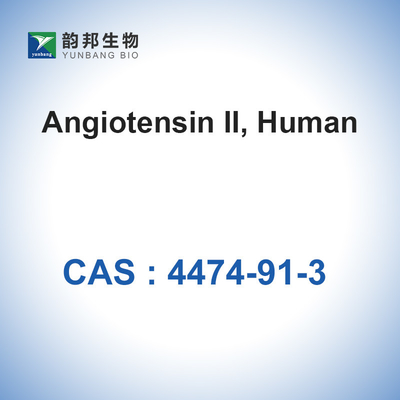CAS 4474-91-3  Angiotensin II Human Powder Antibiotic