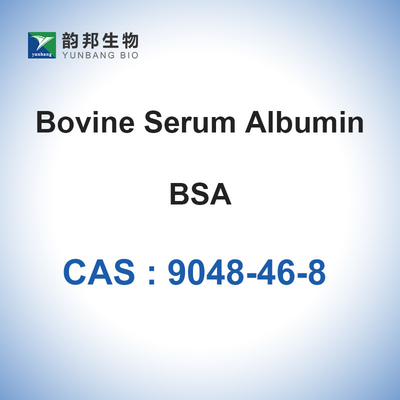 Bovine Serum Albumin CAS 9048-46-8 BSA solution Lyophilized Powder