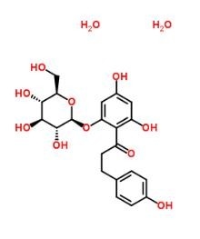 CAS 7061-54-3 Phloridzin Dihydrate 98%  Cosmetic Raw Materials
