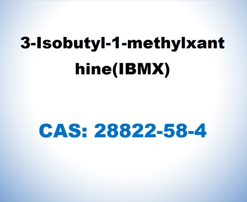 IBMX CAS 28822-58-4 3-Isobutyl-1-Methylxanthine Fine Chemicals