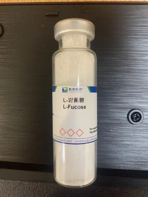 CAS 2438-80-4 L-Fucose Higher Purity 99.5% White Powder