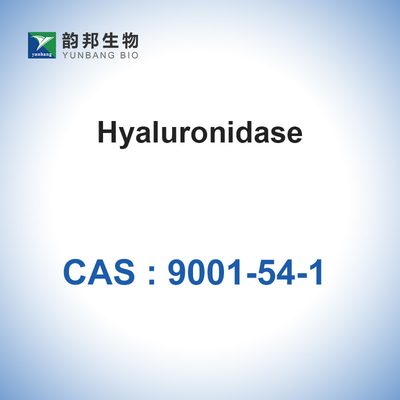 Hyaluronidase CAS 9001-54-1 Pharmaceutical Biological Catalysts Enzymes