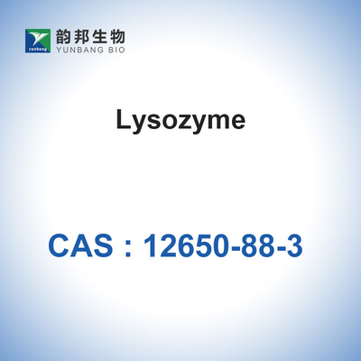 CAS 12650-88-3 Biological Catalysts Enzymes Lysozyme From Chicken Egg White
