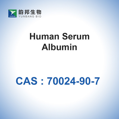 lyophilized HSA Human Serum Albumin Powder CAS 70024-90-7