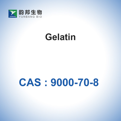 CAS 9000-70-8 Gelatin Powder Absorbable Gelatin Sponge Thickener
