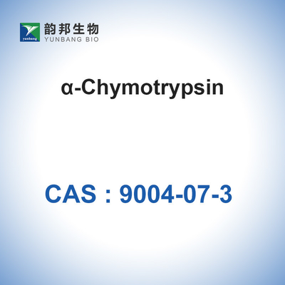 9004-07-3 Biological Catalysts Enzymes Chymotrypsin（＞1200u/Mg）α-Chymotrypsin