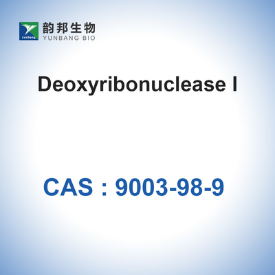 Catalysts Enzymes DNase I (＞2000u/Mg) CAS 9003-98-9 Deoxyribonuclease I Biological