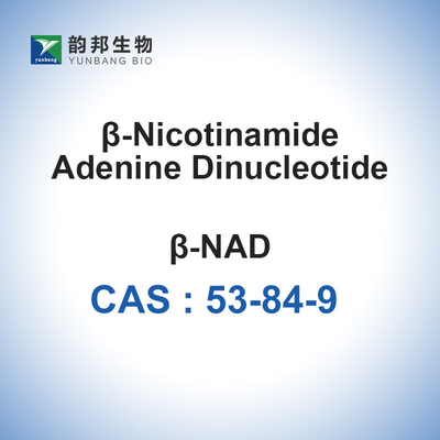 NAD β Nicotinamide Adenine Dinucleotide Hydrate Lyophilized CAS 53-84-9