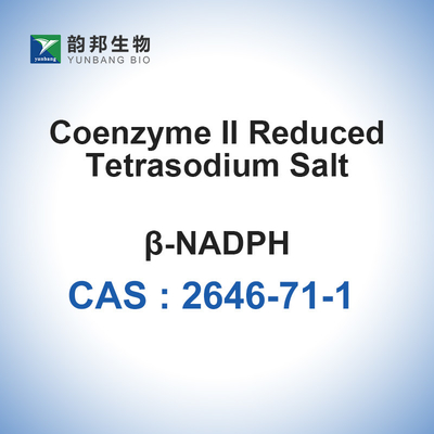 NADPH Tetrasodium Salt Powder CAS 2646-71-1 2 - 8°C Storage