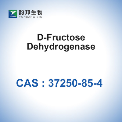 CAS 37250-85-4 D-Fructose Dehydrogenase 20u/mg Biological Catalysts Enzymes