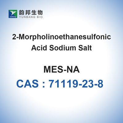 MES Sodium Salt Biological Buffers Powder Bioreagent CAS 71119-23-8