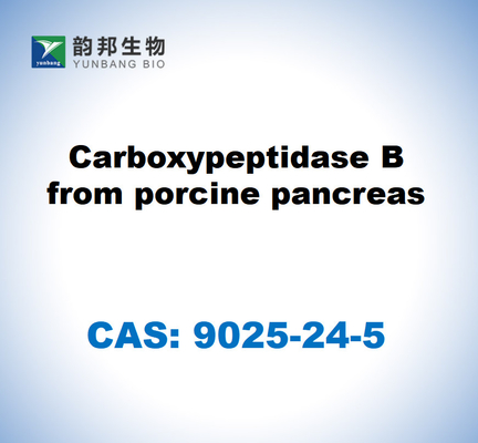 CAS 9025-24-5 Carboxypeptidase B from porcine pancreas