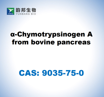 CAS 9035-75-0 α-Chymotrypsinogen A from bovine pancreas