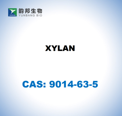 CAS 9014-63-5 Xylan