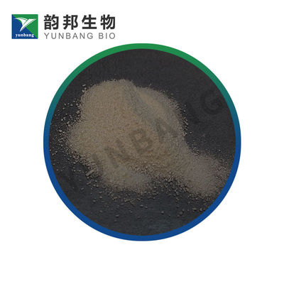 CAS9004-57-3 Ethyl cellulose  biological stains suppliers