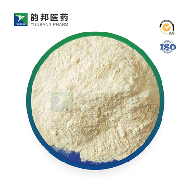 CAS 9005-46-3 Sodium Caseinate Powder IVD Casein Sodium Salt From Bovine Milk