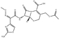 CAS 63527-52-6 Cefotaximeacid Cefotaxime Antibiotic Raw Materials