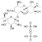 CAS 108321-42-2 Geneticin G418 Disulfate Salt Antibiotic Raw Materials