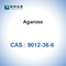 Agarose Biochemical Glycoside CAS 9012-36-6 Pharmaceutical Intermediates