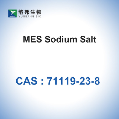 MES Sodium Salt Biological Buffers Powder Bioreagent CAS 71119-23-8