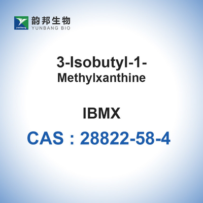 IBMX CAS 28822-58-4 3-Isobutyl-1-Methylxanthine Fine Chemicals