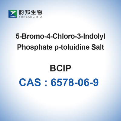 BCIP CAS6578-06-9 5-Bromo-4-Chloro-3-Indolyl Phosphate P-Toluidine Salt