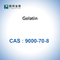 CAS 9000-70-8 Gelatin Powder Absorbable Gelatin Sponge Thickener