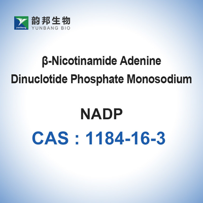 NADP Monosodium Salt Biological Catalysts Enzymes CAS 1184-16-3