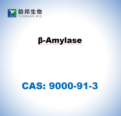 CAS 9000-91-3 Β-Amylase From Sweet Potato