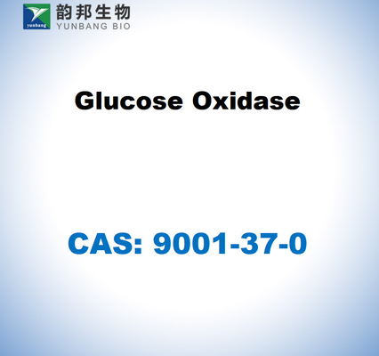 CAS 9001-37-0 Glucose Oxidase from Aspergillus niger
