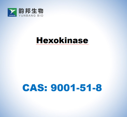 CAS 9001-51-8 Hexokinase From Saccharomyces Cerevisiae
