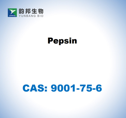 CAS 9001-75-6 Pepsin From Porcine Gastric Mucosa