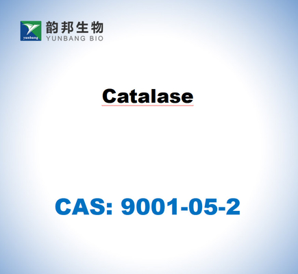 CAS 9001-05-2 Catalase From Bovine Liver