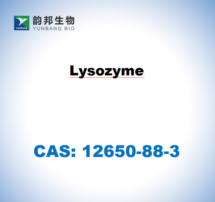 CAS 12650-88-3 Lysozyme From Chicken Egg White