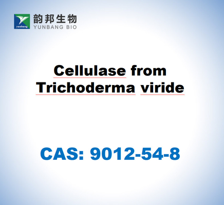 CAS 9012-54-8 Cellulase From Trichoderma Viride