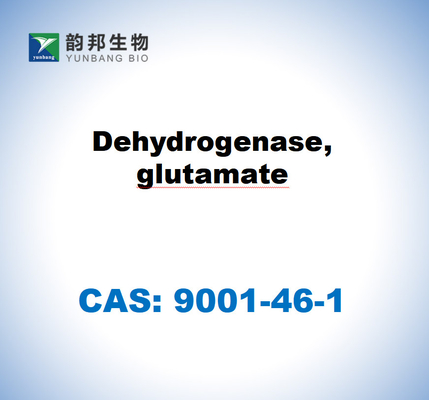 CAS 9001-46-1  Dehydrogenase, Glutamate