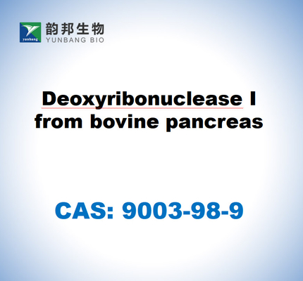 CAS 9003-98-9 Deoxyribonuclease I From Bovine Pancreas