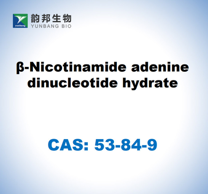 CAS 53-84-9 Β-Nicotinamide Adenine Dinucleotide Hydrate