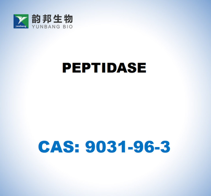 CAS 9031-96-3  PEPTIDASE