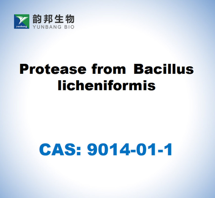 CAS 9014-01-1 Protease from Bacillus licheniformis