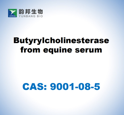 CAS 9001-08-5 Butyrylcholinesterase From Equine Serum