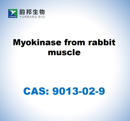 CAS 9013-02-9 Myokinase from rabbit muscle