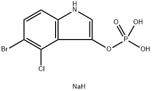 CAS 102185-33-1 5-Bromo-4-chloro-3-indolyl phosphate disodium salt,X-phosphate disodium salt