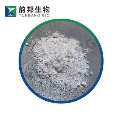 CAS1314-23-4 Zirconium dioxide biological stains suppliers