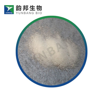 CAS 77-06-5 Gibberellic acid biological reagents manufacturer