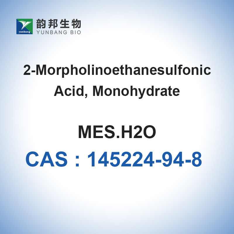 CAS 145224-94-8 MES Monohydrate Buffer Biological 98% Molecular Biology ...