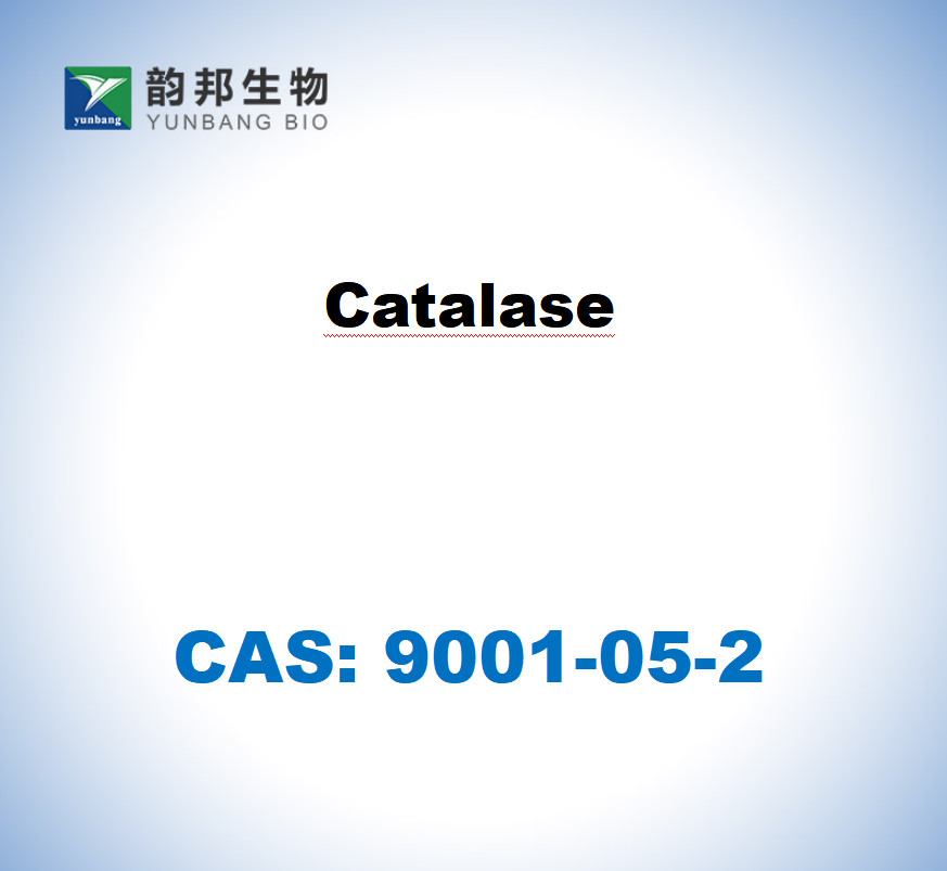 catalase lyophilized powder, main 2,000-5,000units mg... CAS 9001-05-2 Catalase From Bovine Liver