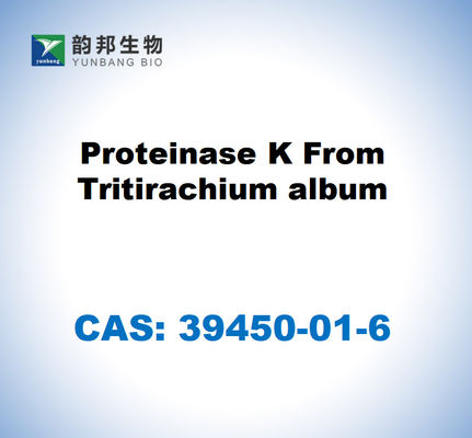 CAS 39450-01-6 Proteinase K From Tritirachium Album