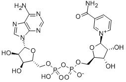 β-Nicotinamide adenine dinucleotide Structure